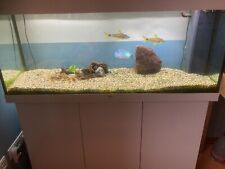 Juwel Aquarium 240l mit Unterschrank inkl. LED-Beleuchtung, Bioflow Filtersystem