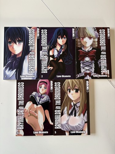 Brynhildr the darkness - in,