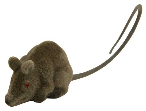 Maus ratte braun fliska - braun,