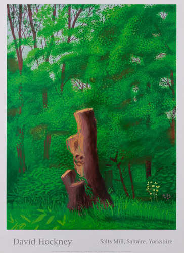 David hockney eingang des - david, hockney:
