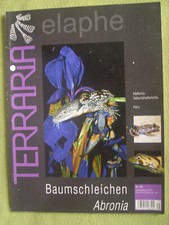 terraria elaphe nr. 45 baumschleichen abronia sehr gut