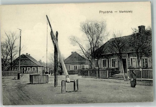 13531301 pruschany - 13531301,