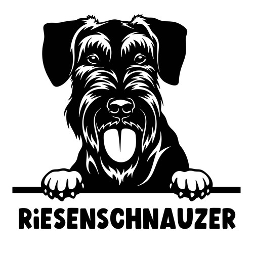 Autoaufkleber sticker - /, /