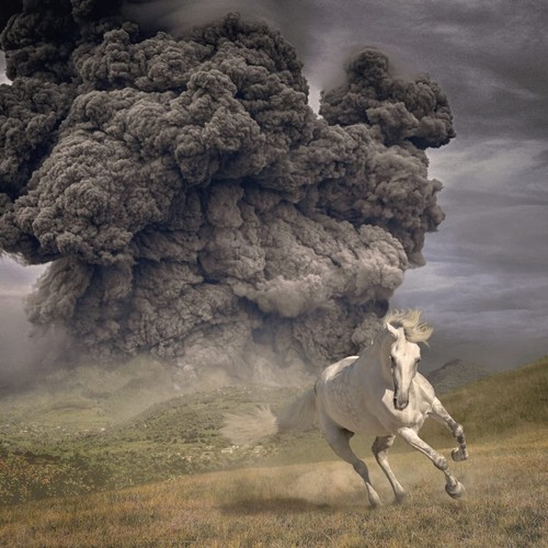 The white buffalo - year,
