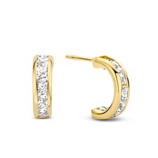 Hoop Earrings 585 Gold Cubic