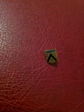  Alte Anstecknadel Souvenir