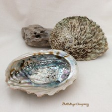 XXL Maxi Räuchermuschel