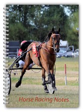 A5 PFERD SULKY TROTTER