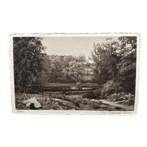 Postkarte essen botanischer - essen,