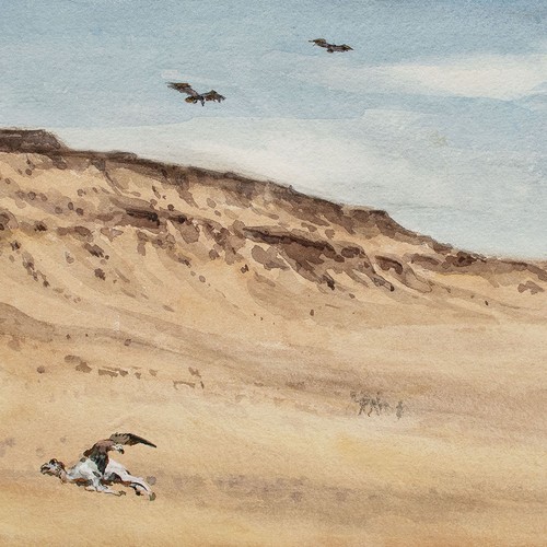 Wüste kamel geier - kamel, aas
