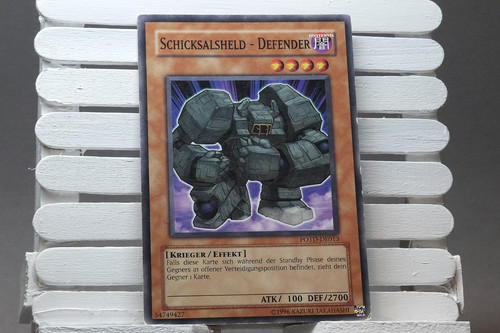Schicksalsheld-Defender
