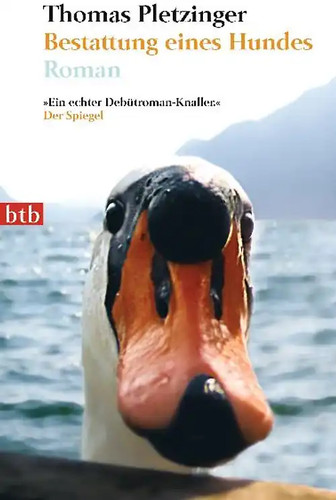 Bestattung eines hundes - eines,