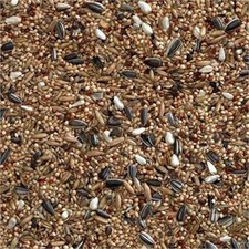 Nymphensittich Sittich Mix - Vogelfutter Mischung 100g 500g 1kg 2kg 5kg 10kg 15kg 20kg