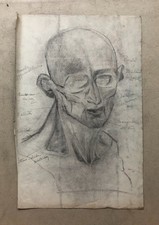 Alte Zeichnung, Studium der