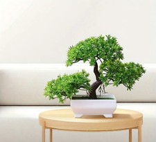Künstliche Pflanzen Bonsai