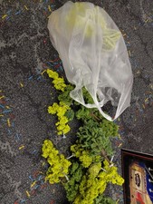 Bäume Konvolut Laubbäume Modelleisenbahn Landschaft Premium 