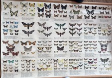 Rolltafel, Schaubild antike