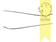 Chromleiste Zierleiste hinten