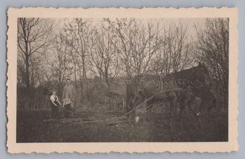 Bauer mit mädchen pferde - 2,