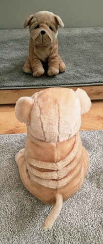 Englische bulldogge hund - bulldogge,