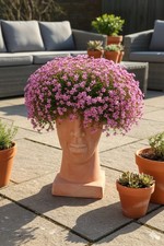 Frauenkopf, bepflanzbar