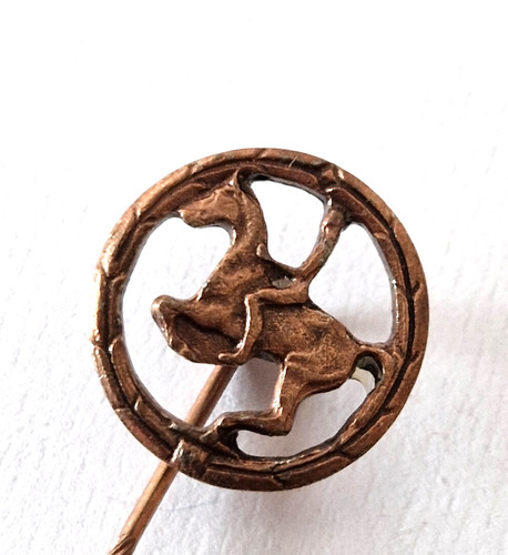 Anstecknadel