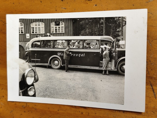 Foto wandervogel bus omnibus - foto,