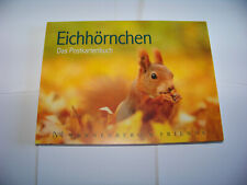 Postkartenbuch Eichhörnchen