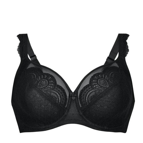 Rosa faia selma ohne - rosa, |