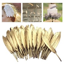 50 Stück Natürliche Federn