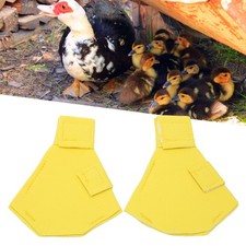 Pet Duck -Schuhe Leichte