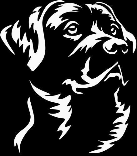 Labrador aufkleber - labrador,