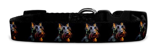 Hundehalsband aus textil mit - aus,