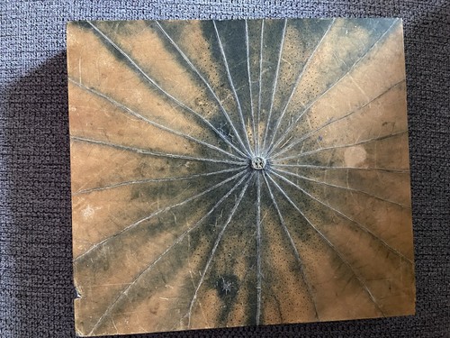 Holzdose mit deckel - mit,