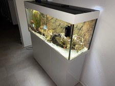 Juwel Rio 240 Aquarium mit