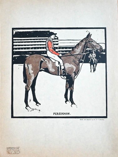 C1900 pferde reitsport jockey - reitsport,