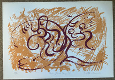 FAVARETTO CASARINI ORIGINAL