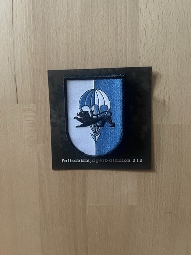 Fallschirmjägerbataillon 313