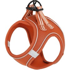 Hundegeschirr klein mittel