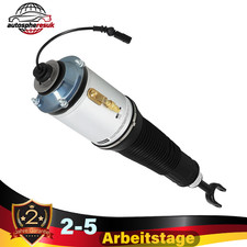 Für Audi A8 D3 Federbein