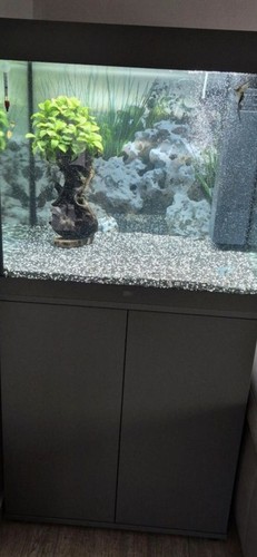 Aquarium unterschrank juwel - aquarium,