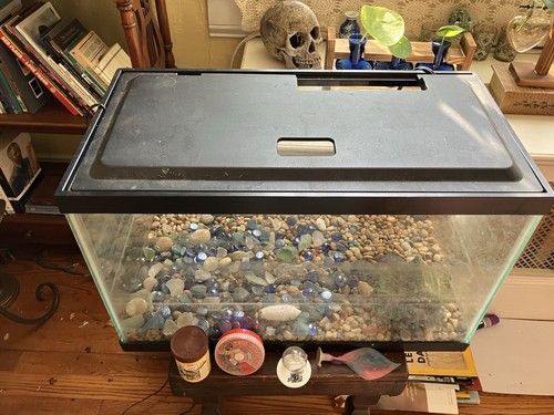 Aquarium