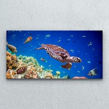Glasbilder Wandbild Druck auf