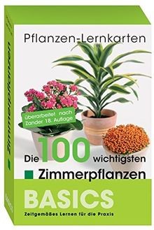 Zimmerpflanzen die 100 - zimmerpflanzen:,