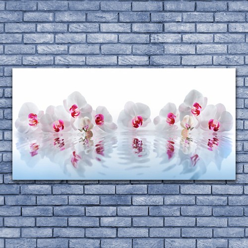 Acrylglasbilder wandbilder - acrylglasbilder,