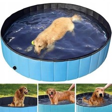 Hundepool Swimmingpool Hunde