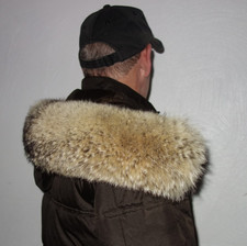 Kojote Pelz Kapuze Kragen Coyote XXL Fellkragen Pelzstreifen Jacke Pelzkragen 60