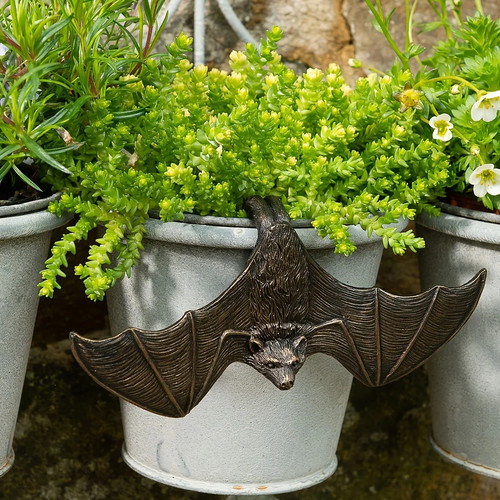 Fledermaus flügel figur - flügel,