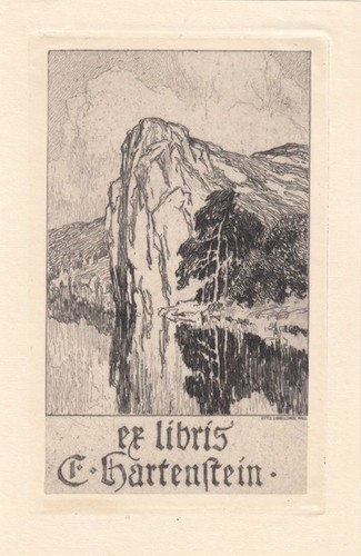Exlibris bookplate radierung - bookplate,