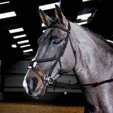Whitaker Ready To Ride